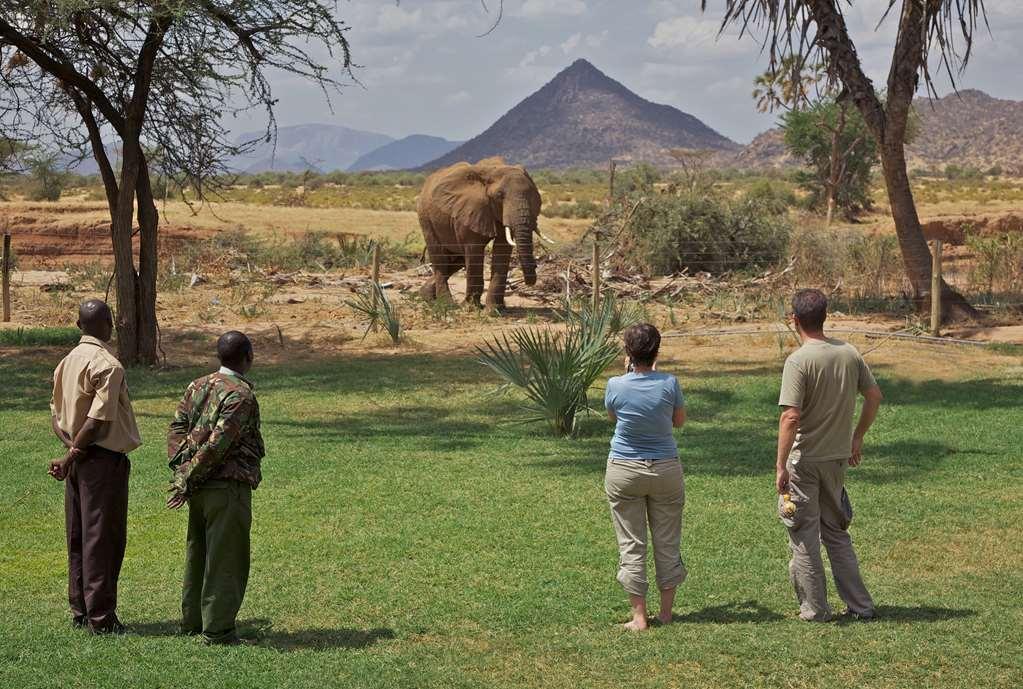 Ashnil Samburu Camp Hotel Buitenkant foto