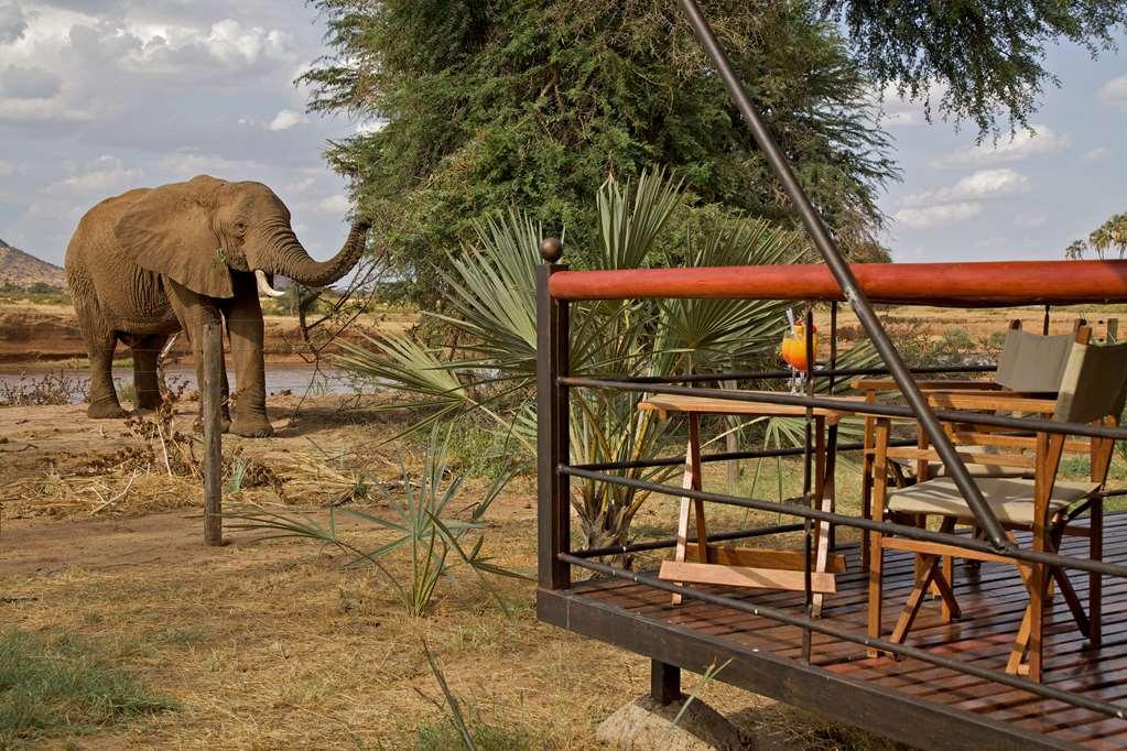 Ashnil Samburu Camp Hotel Buitenkant foto