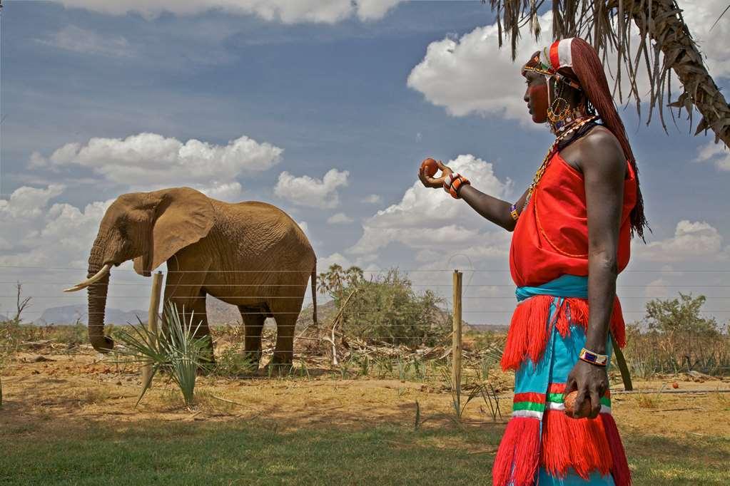 Ashnil Samburu Camp Hotel Faciliteiten foto