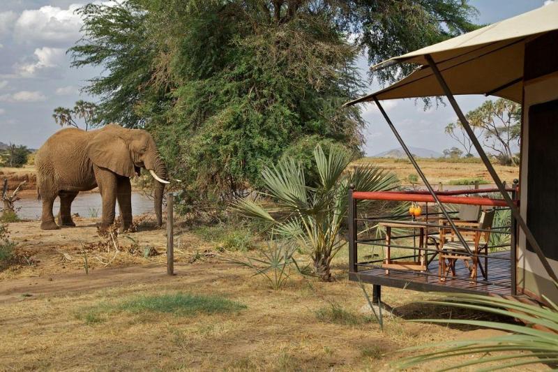 Ashnil Samburu Camp Hotel Buitenkant foto