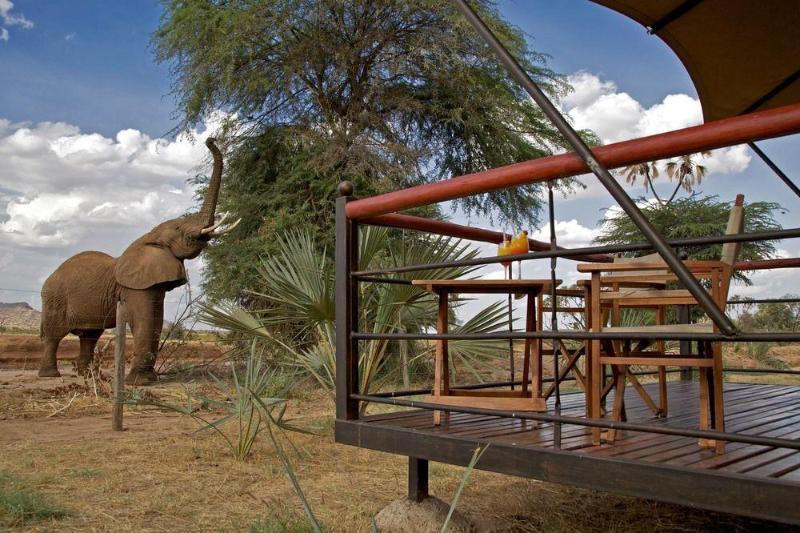 Ashnil Samburu Camp Hotel Buitenkant foto