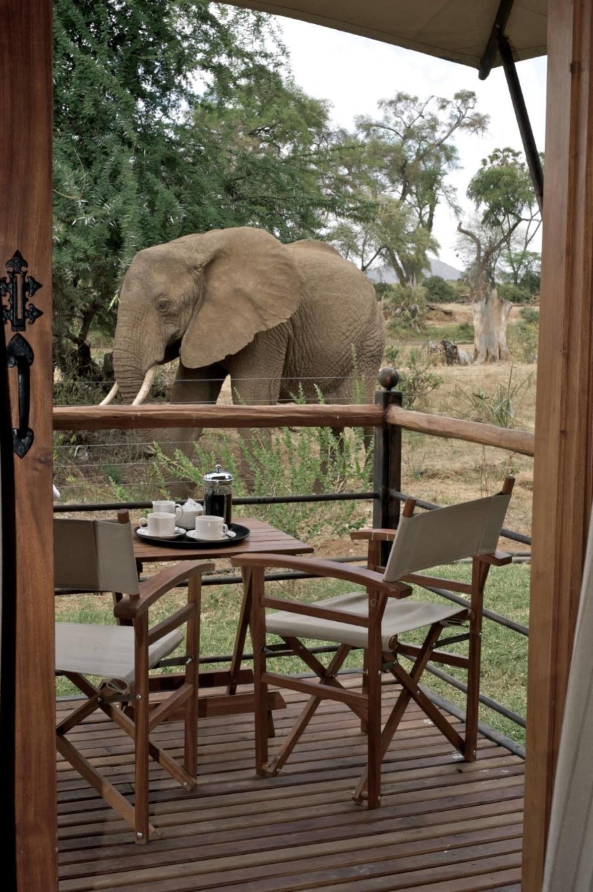 Ashnil Samburu Camp Hotel Buitenkant foto